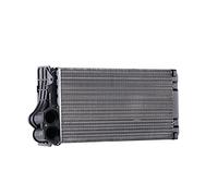 RIDEX 467H0039 Radiateur de chauffage avec tuyau Compatible avec PEUGEOT 206 3/5 portes 2A/C