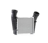 RIDEX 468I0009 Intercooler