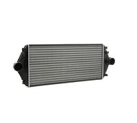 RIDEX 468I0010 Intercooler Compatible avec FIAT Scudo I Van 220