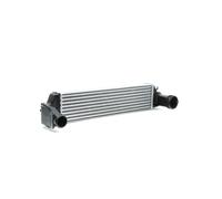 RIDEX 468I0030 Intercooler