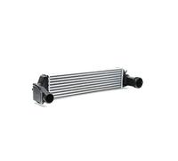 RIDEX 468I0030 Intercooler Compatible avec BMW 3 Berline E46 Diesel