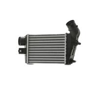 RIDEX 468I0032 Intercooler