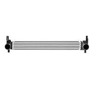 RIDEX 468I0041 Intercooler Compatible avec VW Polo V 3/5 portes 6R1, 6C1 Diesel