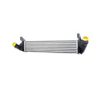 RIDEX 468I0063 Intercooler