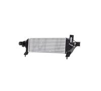 RIDEX 468I0111 Intercooler