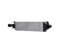 RIDEX 468I0146 Intercooler