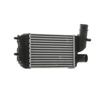 RIDEX 468I0163 Intercooler