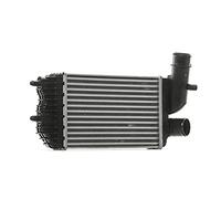 RIDEX 468I0163 Intercooler pour FIAT Ducato II Camion plate-forme/Châssis (244)