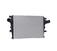 RIDEX 468I0166 Intercooler