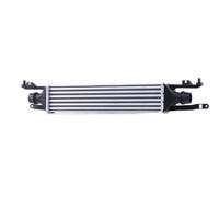 RIDEX 468I0191 Intercooler