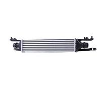 RIDEX 468I0191 Intercooler Compatible avec OPEL Corsa D 3/5 portes S07 Diesel
