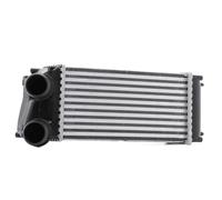 RIDEX 468I0219 Intercooler