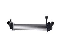 RIDEX 468I0232 Intercooler Compatible avec RENAULT Kangoo II Express FW, FW0/1 Diesel