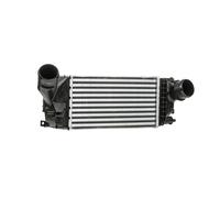 RIDEX 468I0258 Intercooler