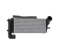 RIDEX 468I0375 Intercooler