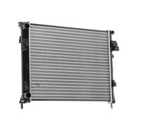 RIDEX 470R0261 Radiateur du moteur Compatible avec RENAULT Trafic 2 Van FL