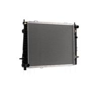 RIDEX 470R0438 Radiateur du moteur