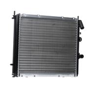 RIDEX 470R0758 Radiateur du moteur
