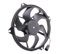 RIDEX 508R0100 Motoventilateur