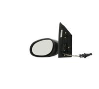 RIDEX 50O0320 Rétroviseur extérieur