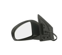 RIDEX 50O0493 Rétroviseur extérieur