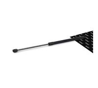 RIDEX 514G0041 Vérin de capot
