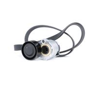 RIDEX 542R0170 Jeu de courroies trapézoïdales à nervures