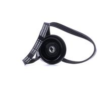 RIDEX 542R0945 Jeu de courroies trapézoïdales à nervures