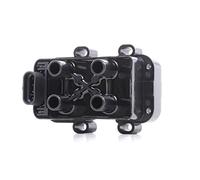 RIDEX 689C0232 Bobine d'allumage Compatible avec RENAULT Clio III 3/5 portes BR0/1, CR0/1