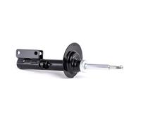 RIDEX 854S0289 Amortisseur