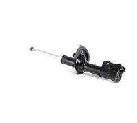 RIDEX 854S0738 Jambe de suspension Amortisseur pour HYUNDAI i10 (PA) Avant Gaz
