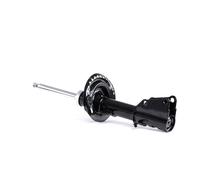 RIDEX 854S1040 Amortisseur