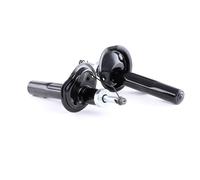 RIDEX 854S1379 Amortisseur