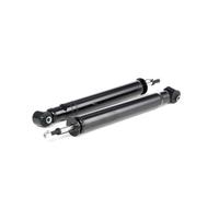 RIDEX 854S1586 Amortisseur