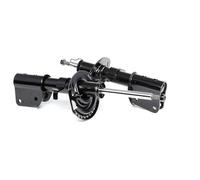 RIDEX 854S1668 2x Amortisseur Jambe de suspension Pression de gaz Essieu avant Kit amortisseur