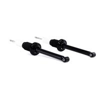 RIDEX 854S1753 Amortisseur