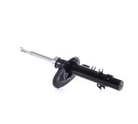 RIDEX 854S1768 Amortisseur