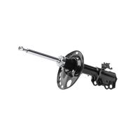 RIDEX 854S17915 Amortisseur