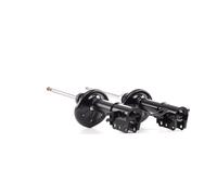 RIDEX 854S1793 Amortisseur