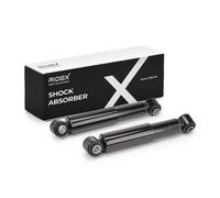 RIDEX 854S18973 Amortisseur