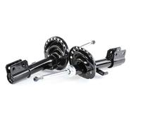 RIDEX 854S1955 Amortisseur