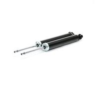 RIDEX 854S1959 Amortisseur