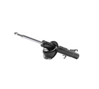 RIDEX 854S1995 Amortisseur