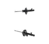 RIDEX 854S20205 Amortisseur