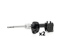 RIDEX 854S20541 Amortisseur