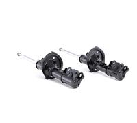 RIDEX 854S2247 Amortisseur