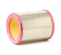 RIDEX 8A0106 Filtre à air