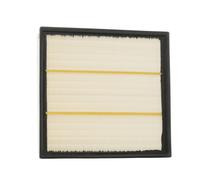 RIDEX 8A0117 Filtre à air