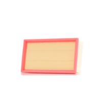 RIDEX 8A0132 Filtre à air pour FIAT Scudo II (270, 272) Scudo II Van (270, 272)