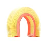 RIDEX 8A0173 Filtre à air Compatible avec RENAULT Clio III 3/5 portes BR0/1, CR0/1